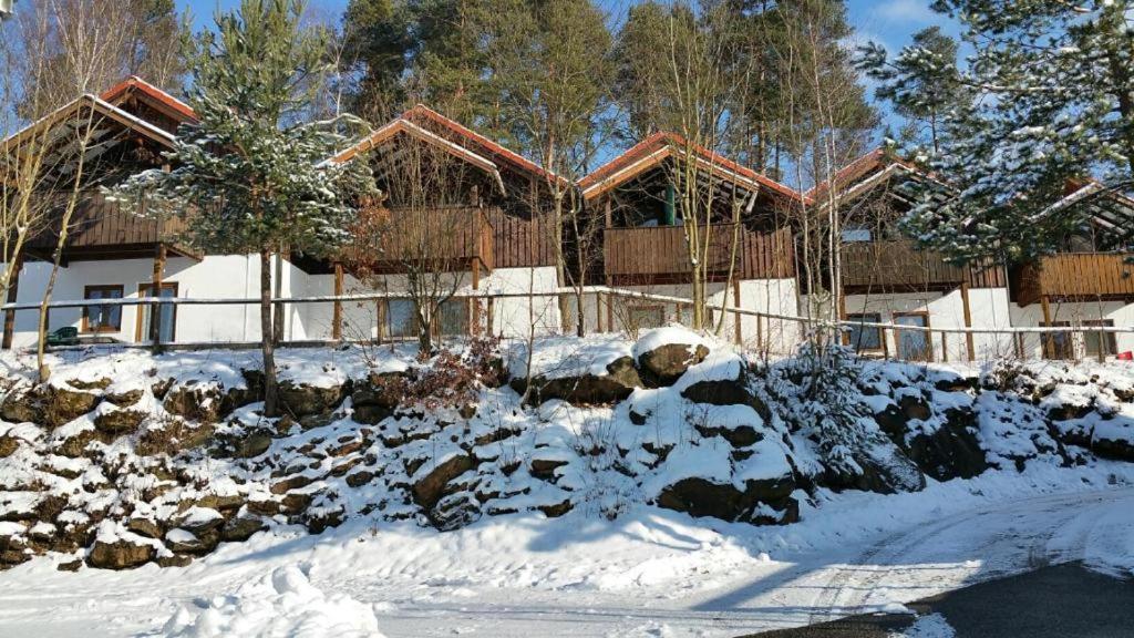 Wildgatter Grafenwiesen