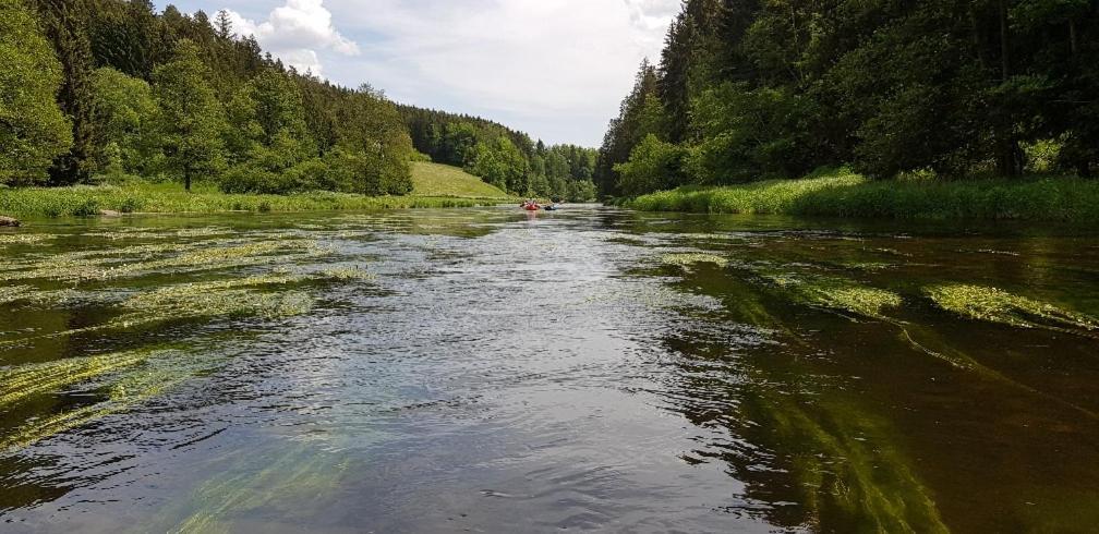 Wildgatter Grafenwiesen